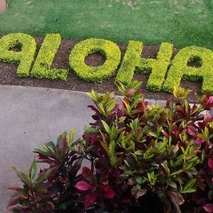 Meet your Posher, Shelley